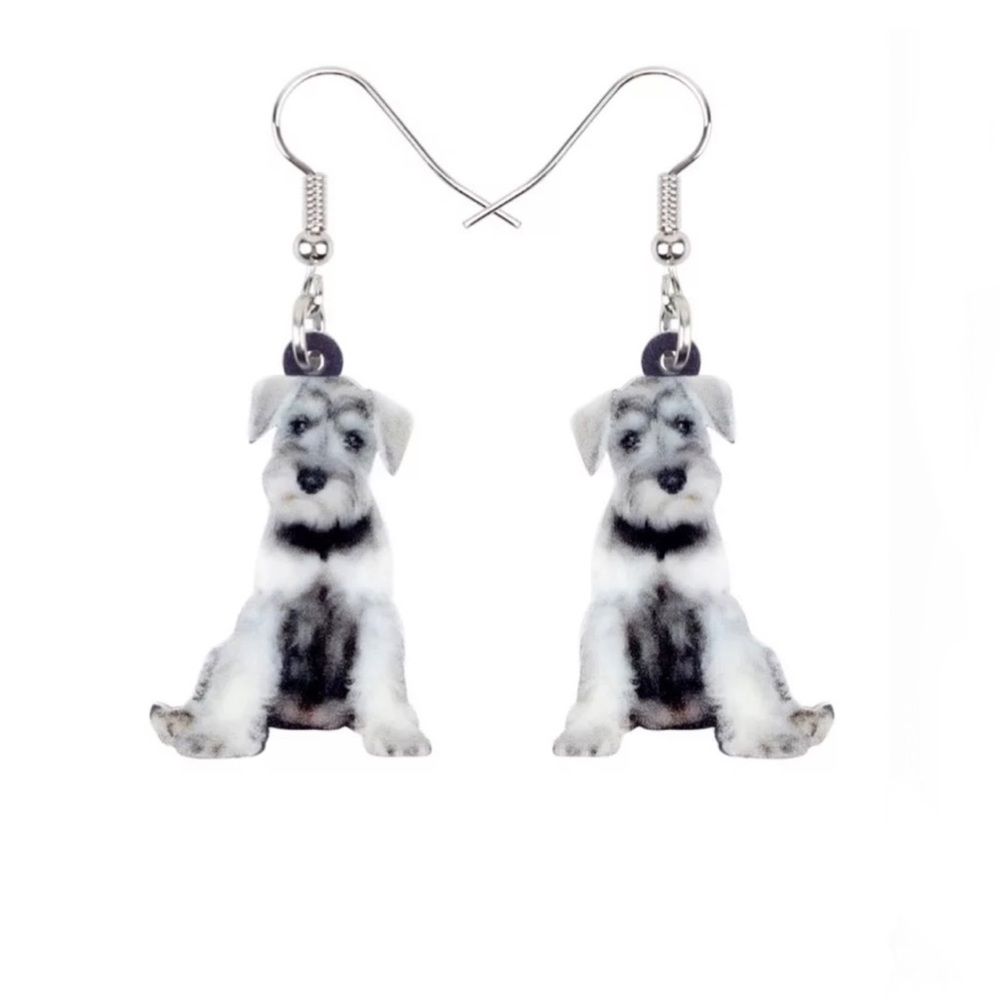 FREE SHIPPING | Double-Sided Acrylic Dangle Earrings NWT